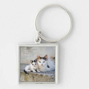 Two cats on stone steps key ring