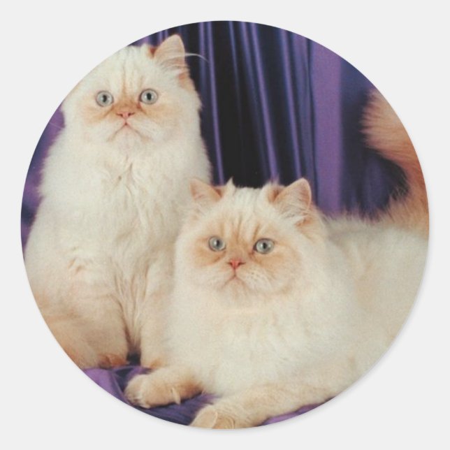 Two Cats Posing Classic Round Sticker (Front)