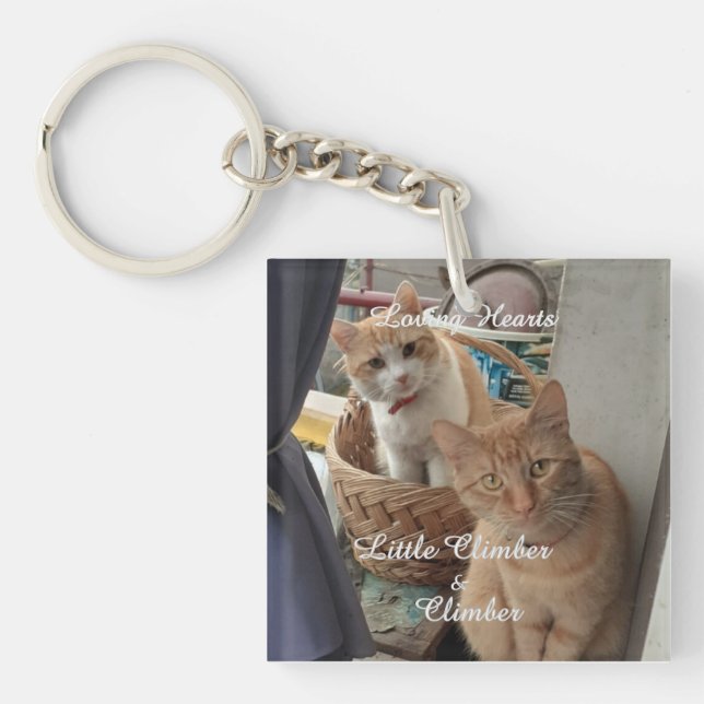 Two Cats , Replaceable Photo And Names,  Key Ring (Front)
