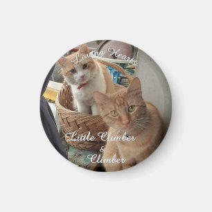 Two Cats , Replaceable Photo And Names, Magnet