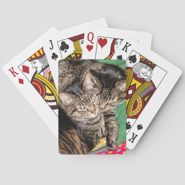 Two Cats Snuggling  Playing Cards (Back)