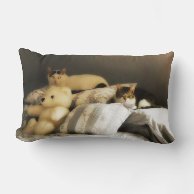 Two Cats with Stuffed Teddy Bear Lumbar Cushion (Front)