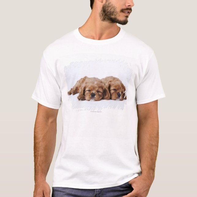 Two Cavalier King Charles Spaniel puppies T-Shirt (Front)