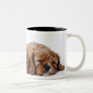 Two Cavalier King Charles Spaniel puppies Two-Tone Coffee Mug