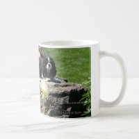 Two Cavaliers in the garden mug