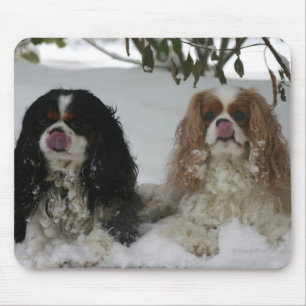 Two Cavaliers Mousepad