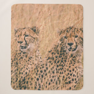 TWO CHEETAH SITTING ON FIELD AT DAYTIME SHERPA BLANKET