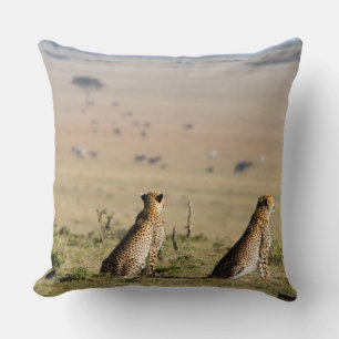 Two cheetahs on the look out cushion
