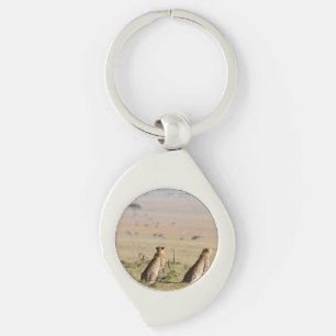 Two cheetahs on the look out key ring