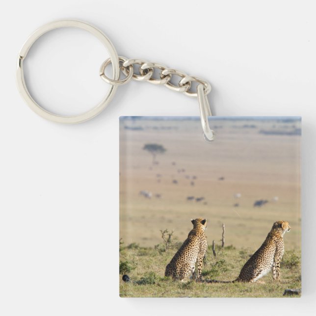 Two cheetahs on the look out key ring (Front)
