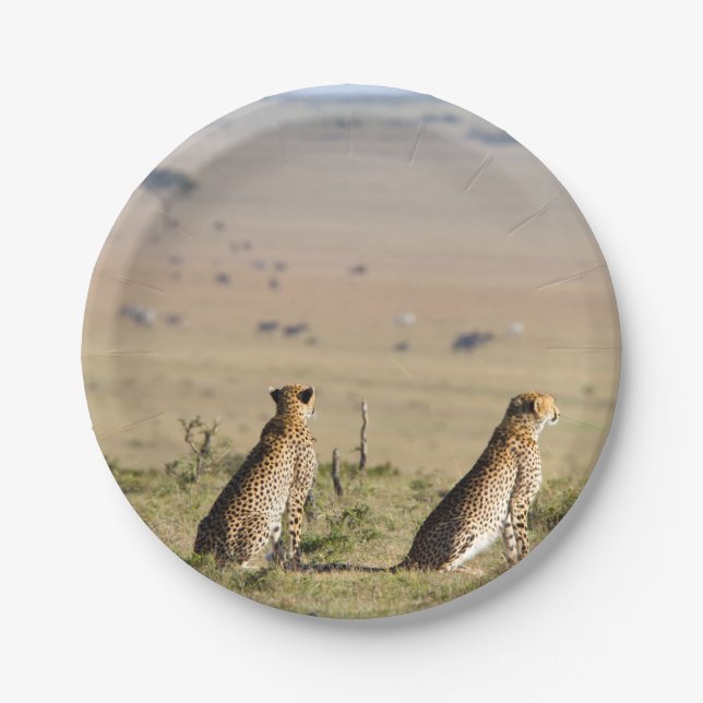 Two cheetahs on the look out paper plate (Front)