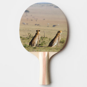 Two cheetahs on the look out ping pong paddle