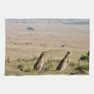 Two cheetahs on the look out tea towel