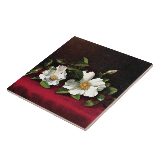 Two Cherokee Roses on Red Velvet, Ceramic Tile (Side)