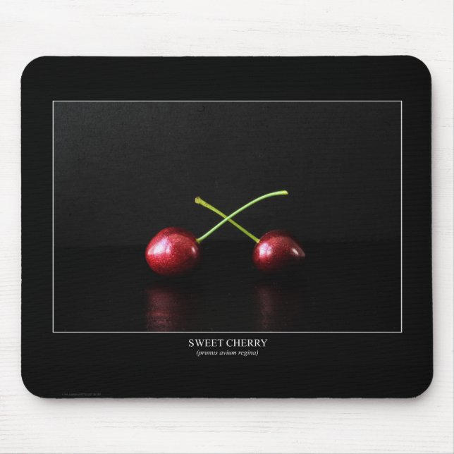 Two Cherries MP arc4 Mouse Pad (Front)