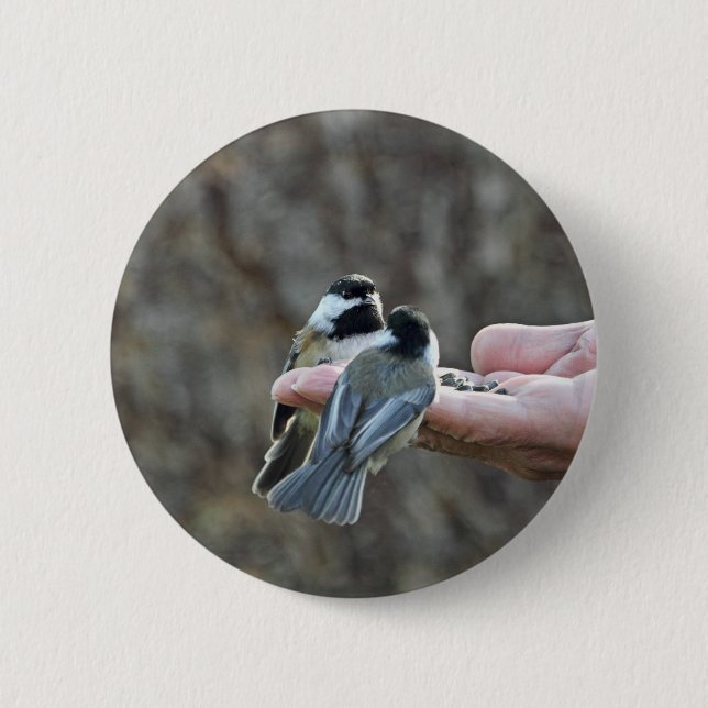 Two Chickadees on a Hand 6 Cm Round Badge (Front)