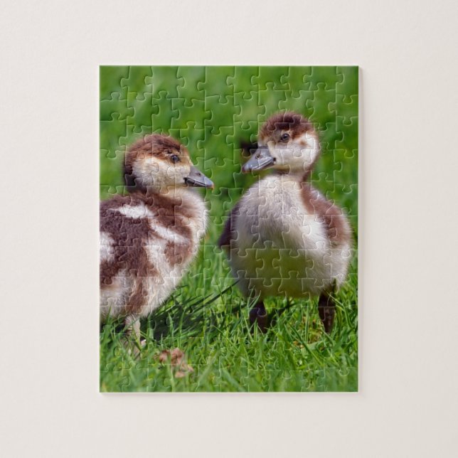 Two chicks of Egyptian Geese Jigsaw Puzzle (Vertical)