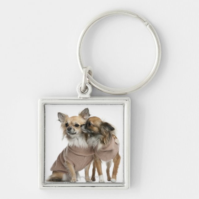 Two Chihuahuas dressed (2 years old) Key Ring (Front)