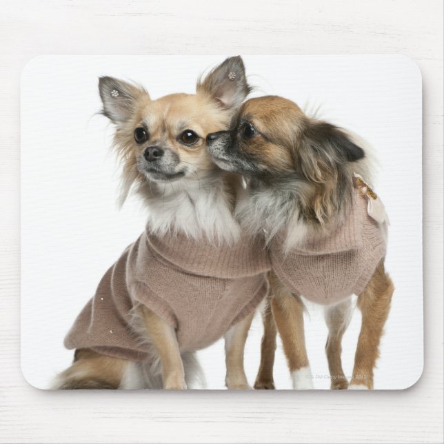 Two Chihuahuas dressed (2 years old) Mouse Pad (Front)