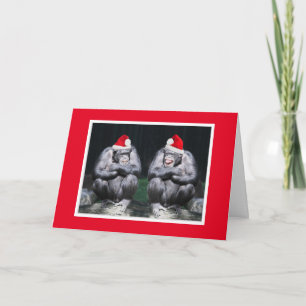 TWO CHIMPS IN SANTA HATS CHRISTMAS CARD