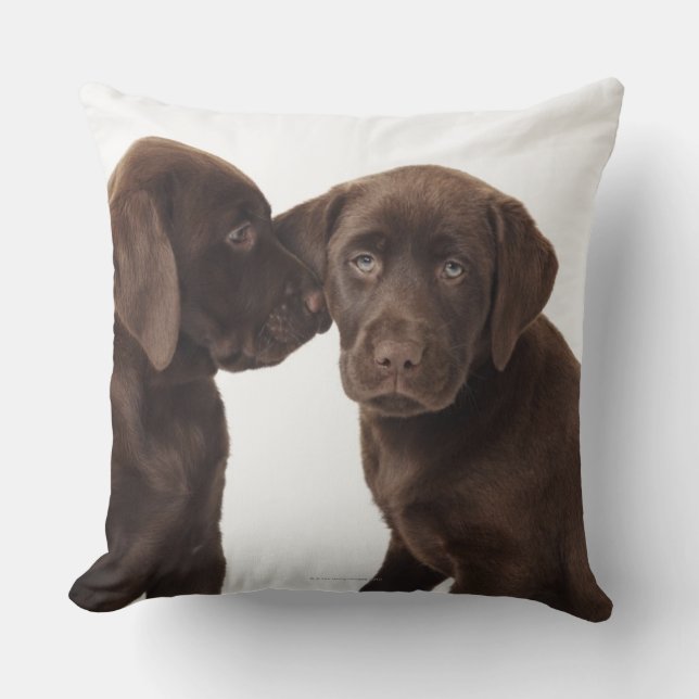 Two chocolate Labrador Retriever Puppies Cushion (Front)