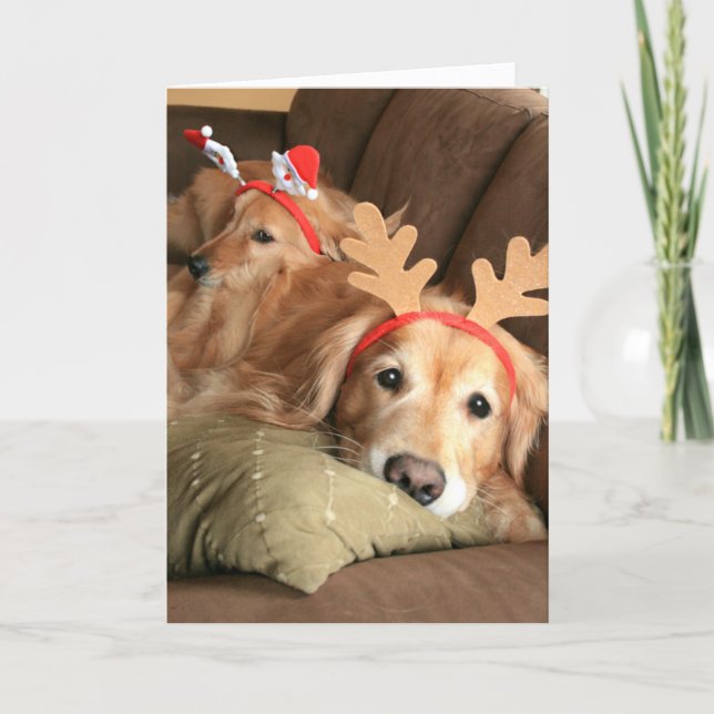 Two Christmas Holiday Golden Retrievers Card (Front)