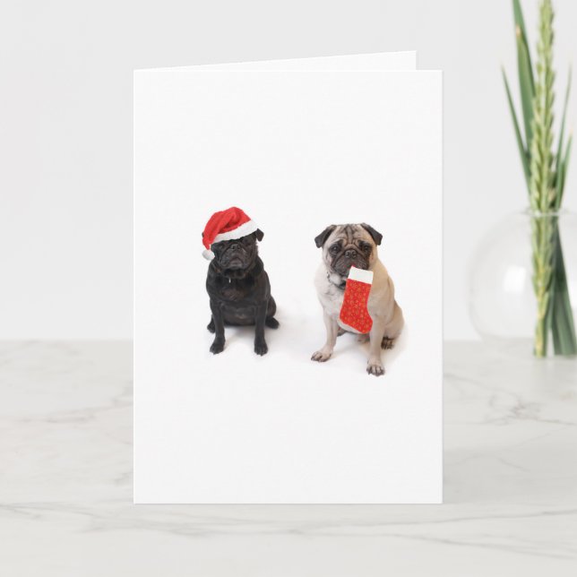 Two christmas pugs holiday card (Front)