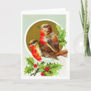 Two Christmas robins Holiday Card