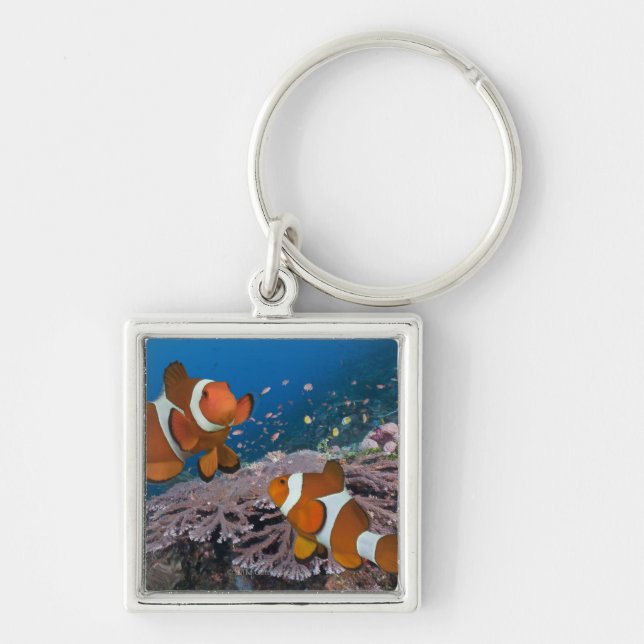 Two Clownfish Key Ring (Front)