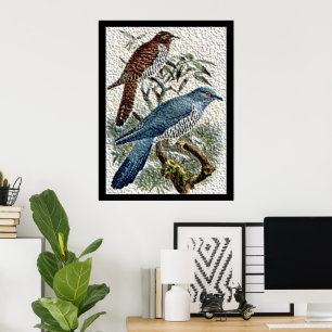 Two Coloured Cuckoo Birds in Textured Poster