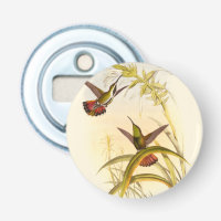 Two Colourful Hummingbirds Aiming for Same Flower