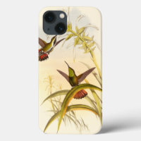 Two Colourful Hummingbirds Aiming for Same Flower