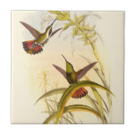 Two Colourful Hummingbirds Aiming for Same Flower Ceramic Tile<br><div class="desc">Artist John Gould was passionate about birds. In this coloured drawing,  the two hummingbirds and the flower are represented beautifully. The details in this colourful fine art will delight any art lover.</div>