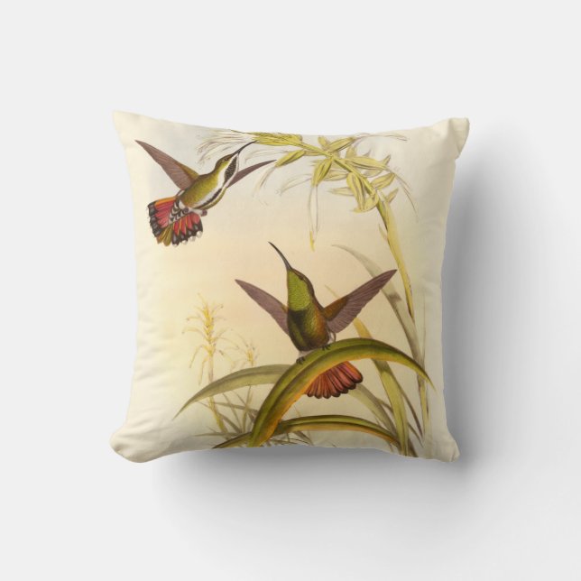 Two Colourful Hummingbirds Aiming for Same Flower Cushion (Front)