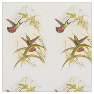 Two Colourful Hummingbirds Aiming for Same Flower Fabric