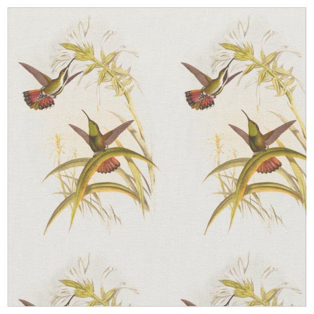 Two Colourful Hummingbirds Aiming for Same Flower Fabric (Close Up)