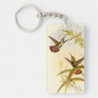 Two Colourful Hummingbirds Aiming for Same Flower