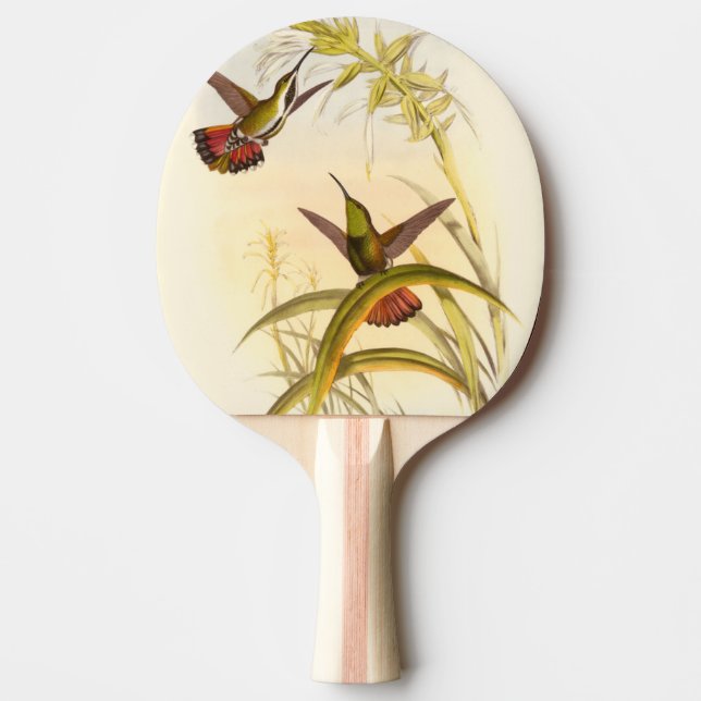 Two Colourful Hummingbirds Aiming for Same Flower Ping Pong Paddle (Front)