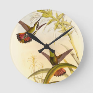 Two Colourful Hummingbirds Aiming for Same Flower Round Clock