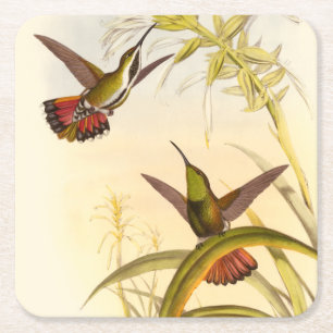 Two Colourful Hummingbirds Aiming for Same Flower Square Paper Coaster