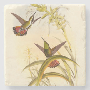 Two Colourful Hummingbirds Aiming for Same Flower Stone Coaster