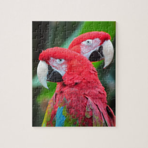 Two colourful macaw parrots jigsaw puzzle
