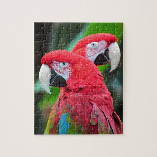 Two colourful macaw parrots jigsaw puzzle (Vertical)