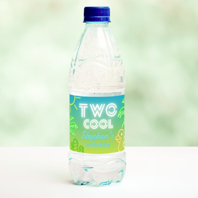 Two Cool 2nd Birthday  Water Bottle Label (Two Cool 2nd Birthday Water Bottle Label)