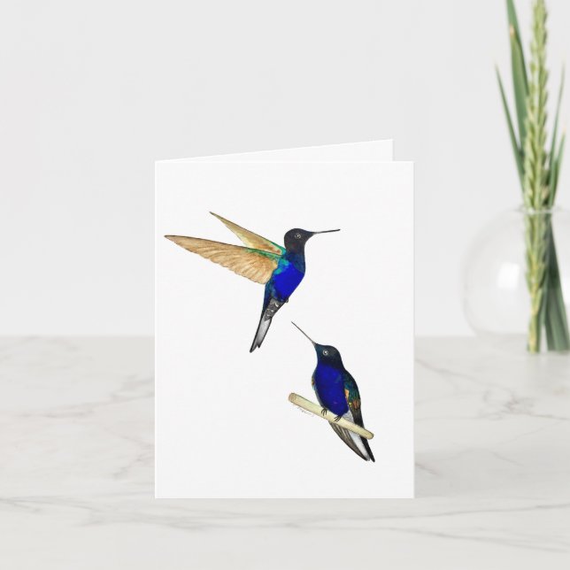 Two Coronet Hummingbirds Greeting Card (Front)