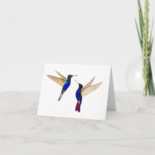 Two Coronet Hummingbirds Greeting Card (Front)