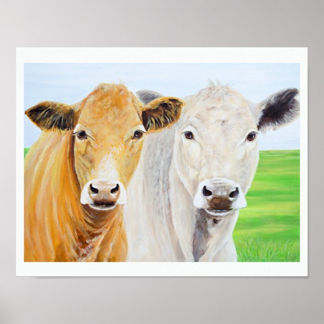Two Cows for Oklahoma 11 x 14 Print (Front)