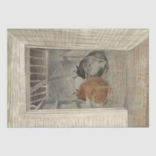 Two Cows in a Stable (by Eric Ravilious) Tissue Paper