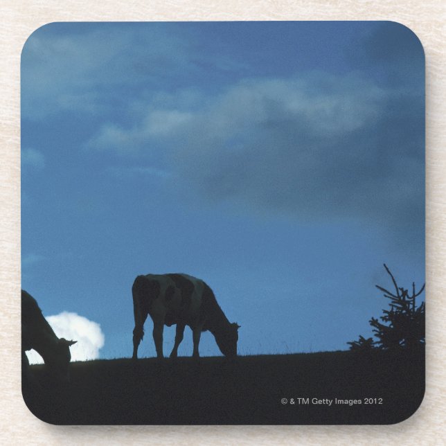 Two cows in silhouette grazing on hillside coaster (Front)