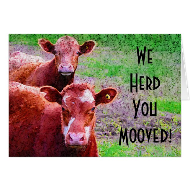 Two Cows  We Herd You Mooved! (Front Horizontal)